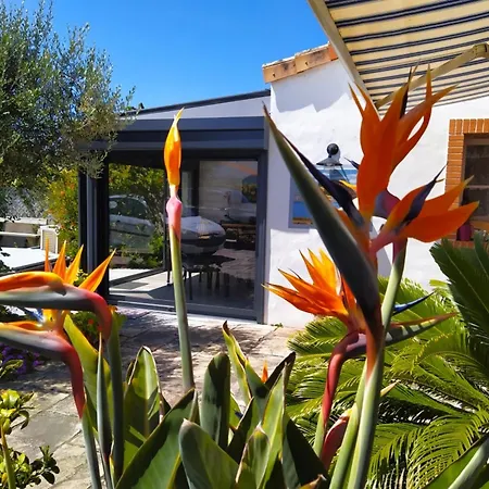 Avec Piscine Privee, 8 Pers - Fr-1-823-144 Tatil Evi